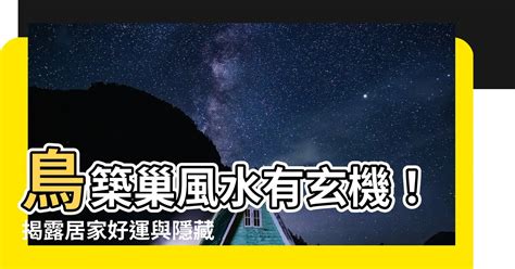 家有鳥巢 風水|鳥巢風水：居家好運密碼